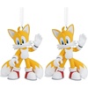1 Count (Pack of 2)