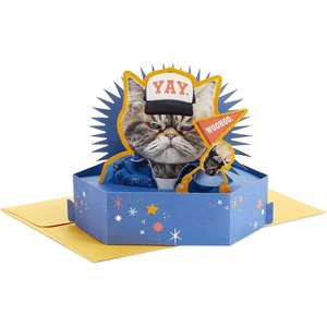 Hallmark Funny Pop Up Birthday Card (Grouchy Cat) Paper Wonder Shoebox 3D Card(Grouchy Cat)