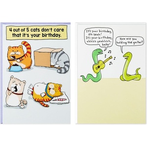 Hallmark Shoebox Funny Birthday Card (Too Old for TikTok)(Cats Don’t Care  Don’t Think Too Hard)