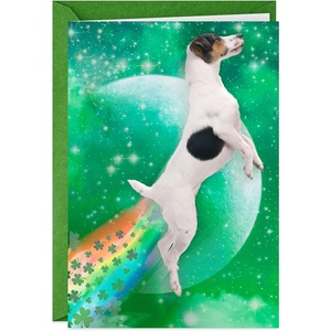 Hallmark Shoebox Funny St. Patrick’s Day Card (Dog Tooting Rainbows) for Kids, Grandchildren, Friends(Dog Tooting Rainbows)