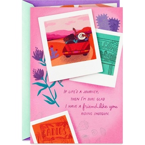 Hallmark Signature Birthday Card for Women (Damn, Girl Letter Board)(A Friend Like You)