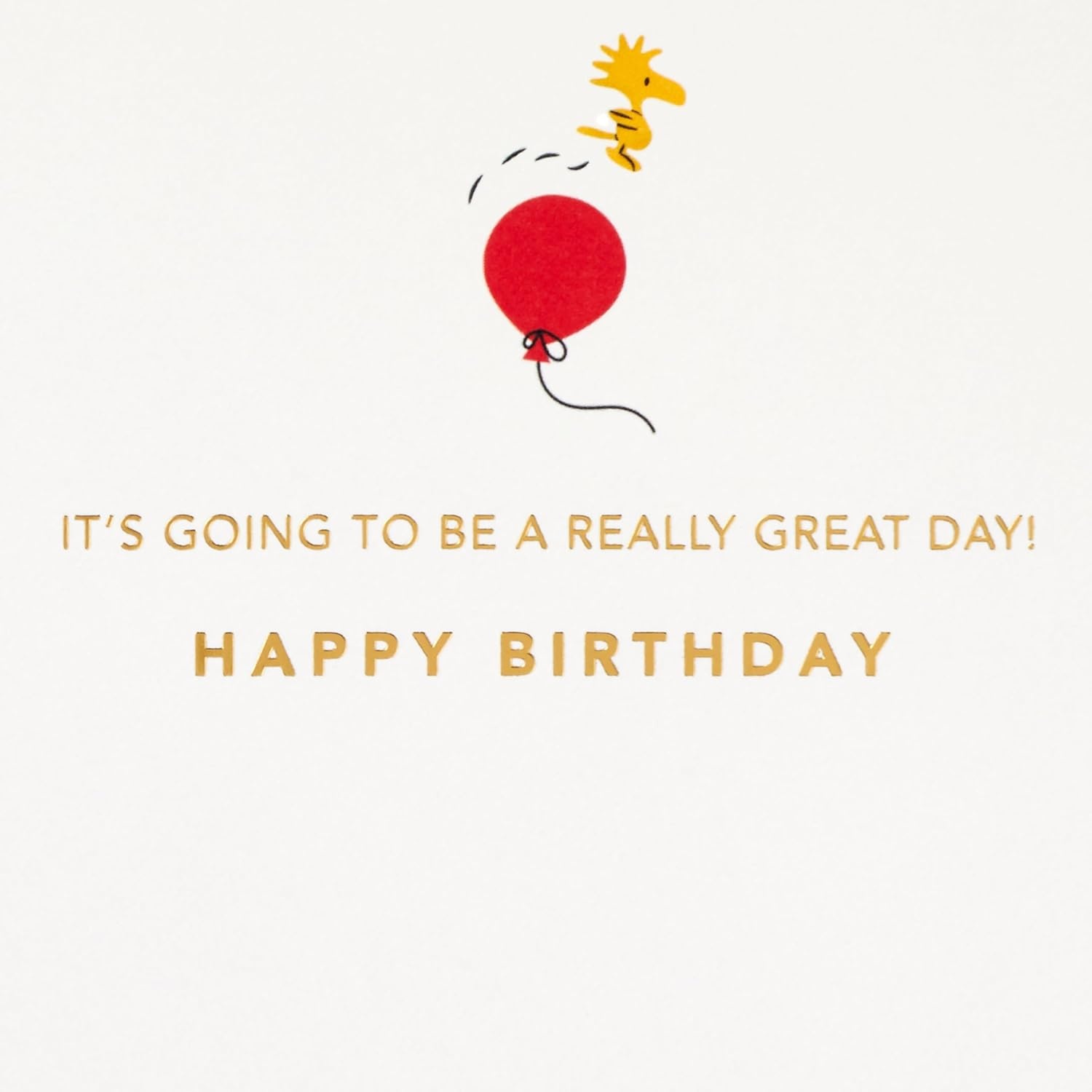image:imageHallmark Signature Peanuts Birthday Card Charlie Brown and Friends Premium CardstockPeanuts