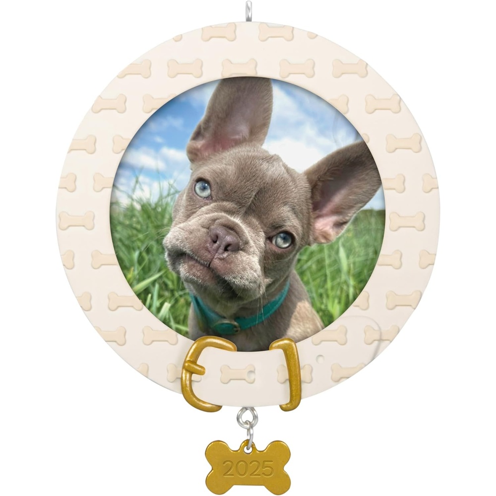 image:imageHallmark Keepsake Christmas Ornament Furry Friend 2025 Photo Frame Pet Gifts2025 Faithful Friend