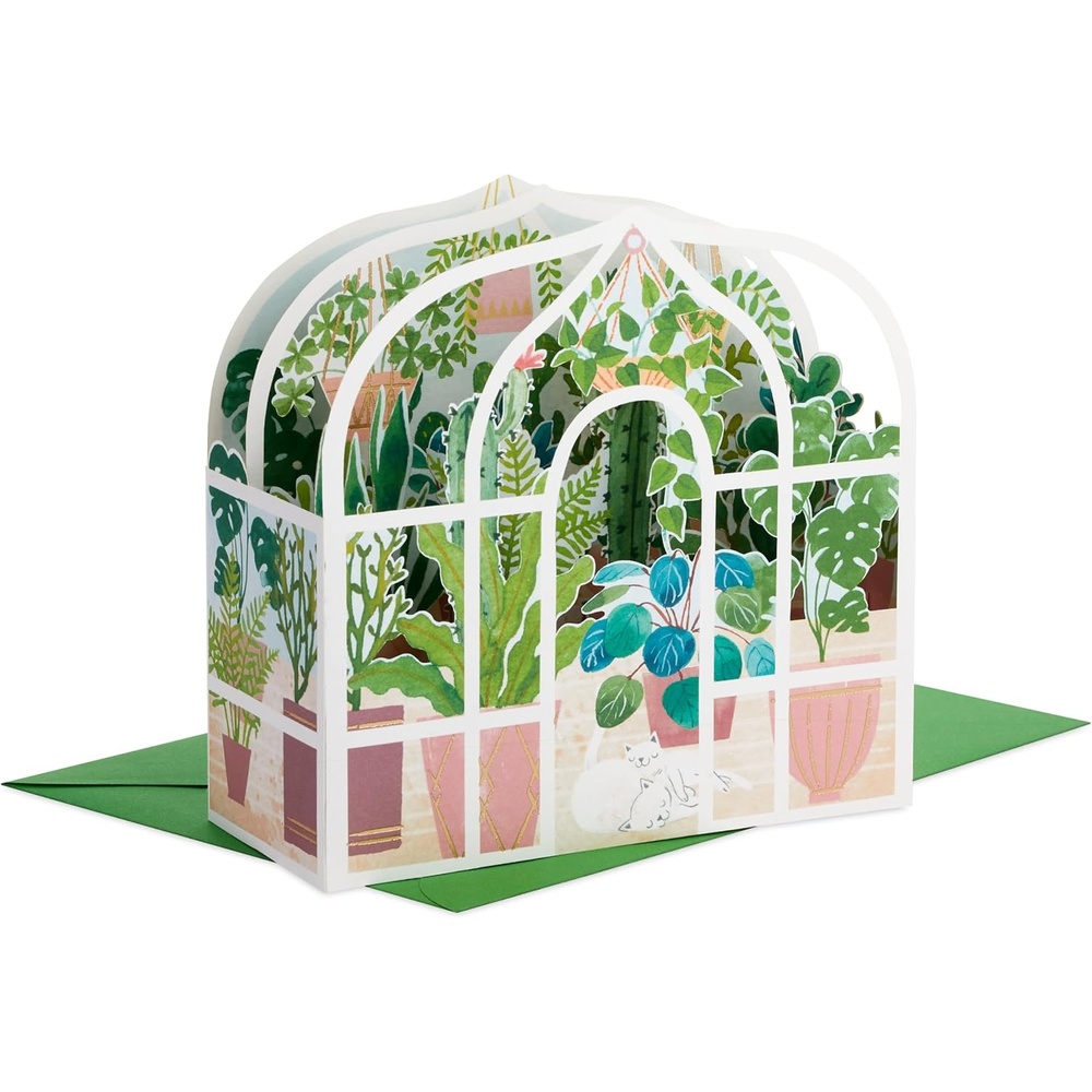 image:imageHallmark Paper Wonder Pop Up Card 3D Potted Cactus Blank Thinking of You Get Well Encouragement Birthday All OccasionGreenhouse Plants and Cats