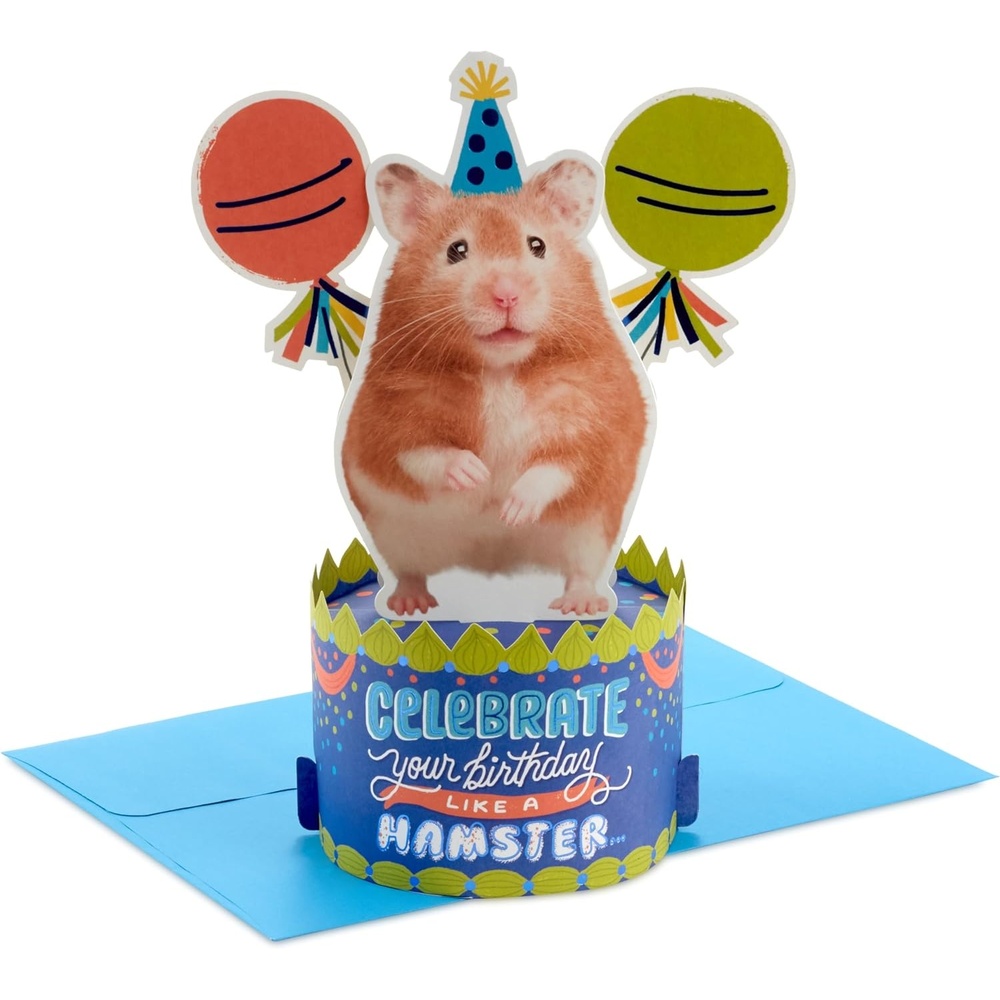 image:imageHallmark Paper Wonder Shoebox Funny Pop Up Birthday Card Celebrate Like a Hamster