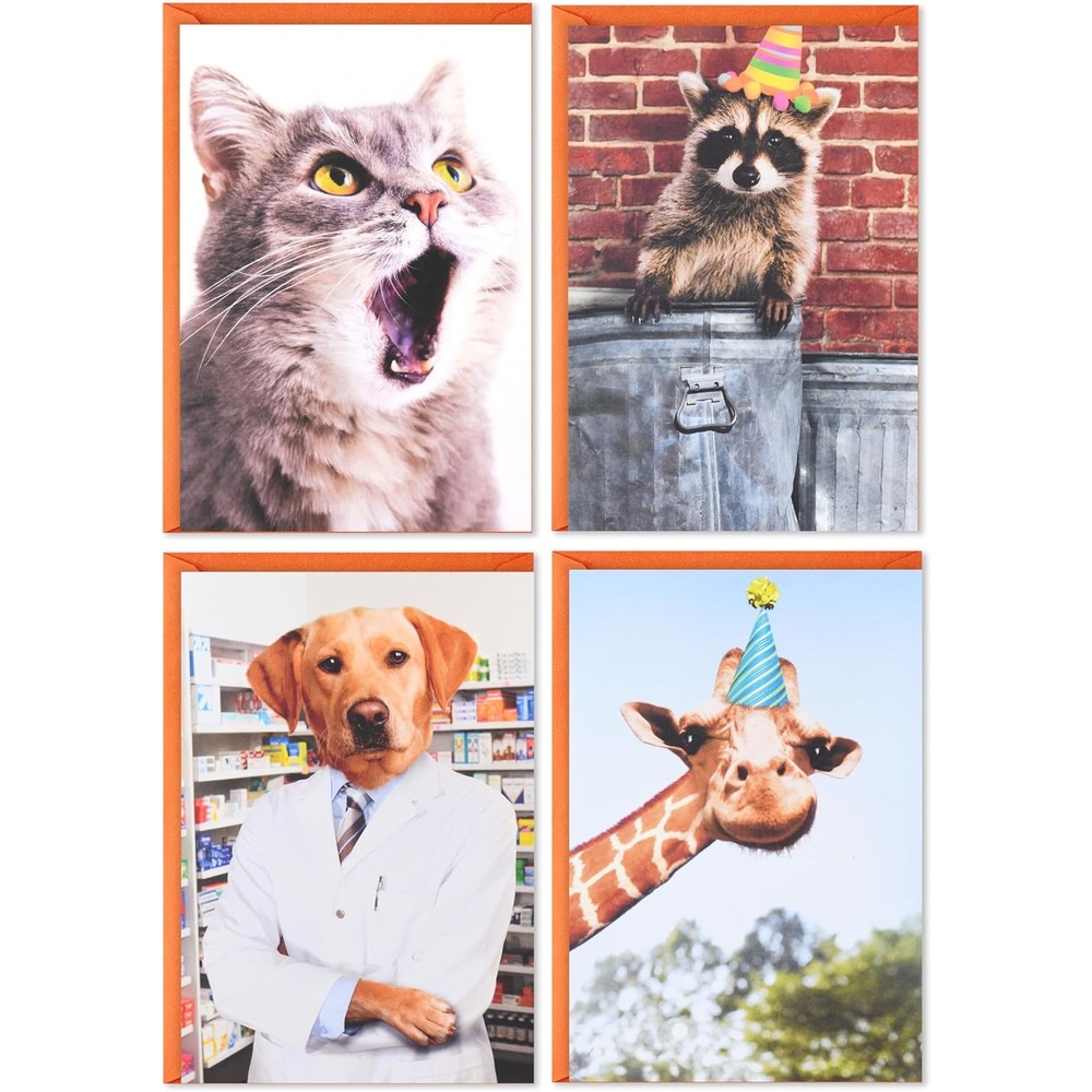 image:imageHallmark Shoebox Funny Birthday Card Assortment 4 Cards with Envelopes Cat Dog Giraffe Raccoon