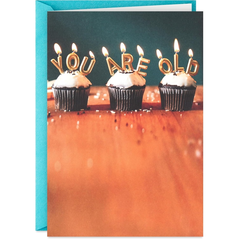 image:imageHallmark Shoebox Funny Birthday Card You Are Old