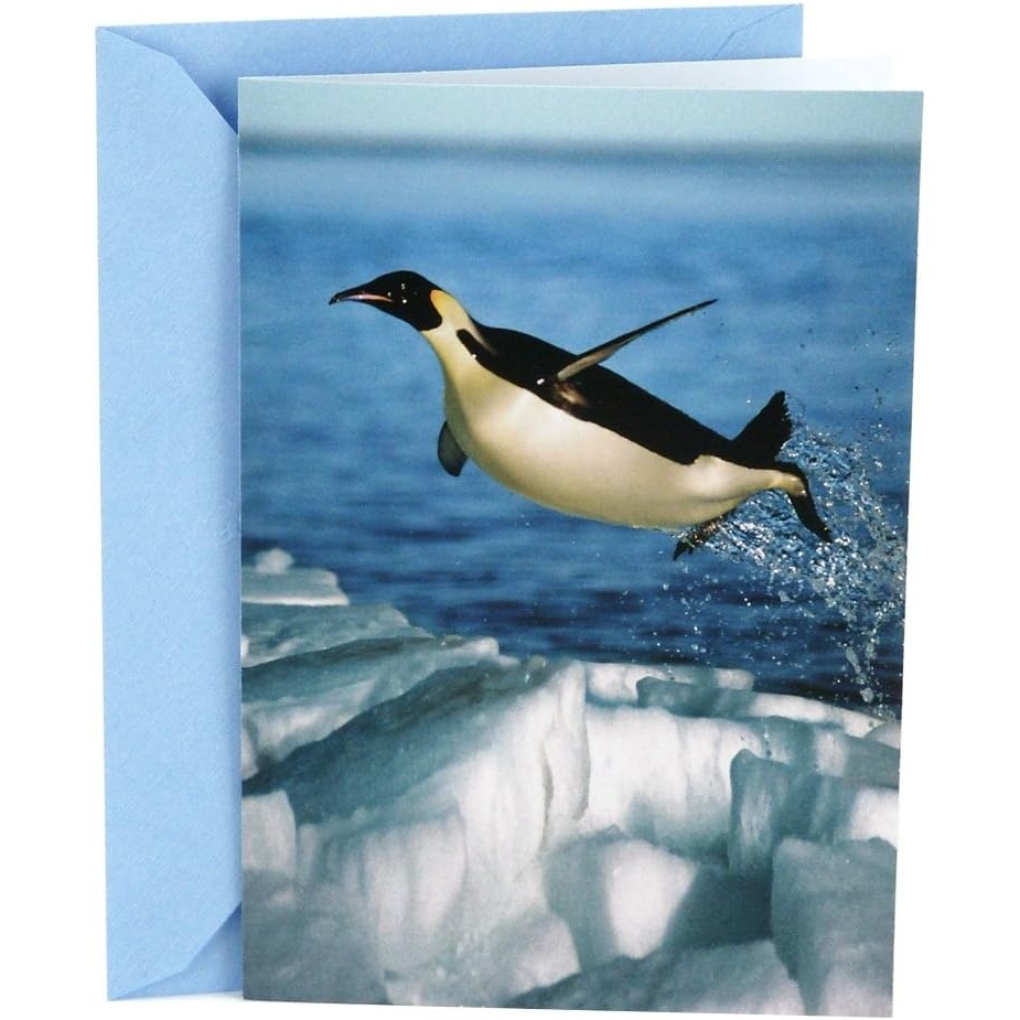 image:imageHallmark Shoebox Funny Graduation Card Smart DonkeySoaring Penguin