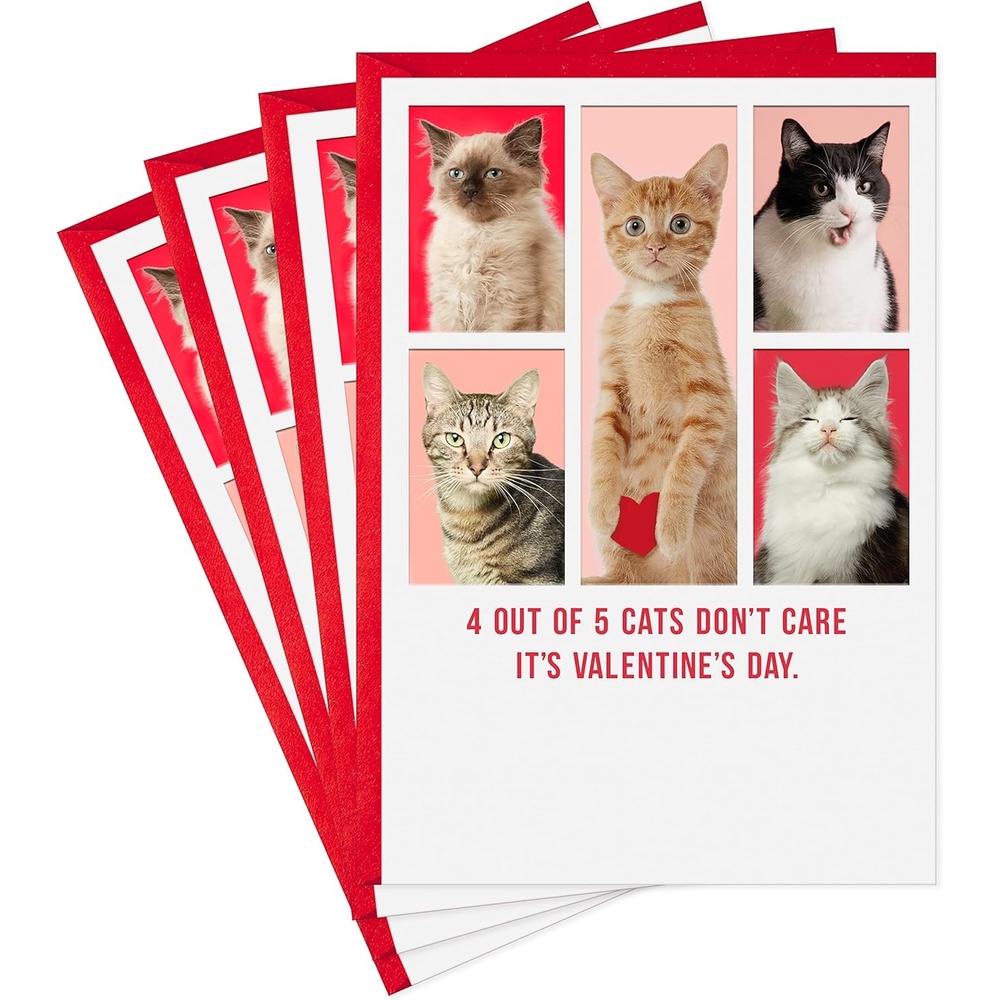 image:imageHallmark Shoebox Pack of 4 Funny Valentines Day Cards Cats Dont CareCats Dont Care  Funny