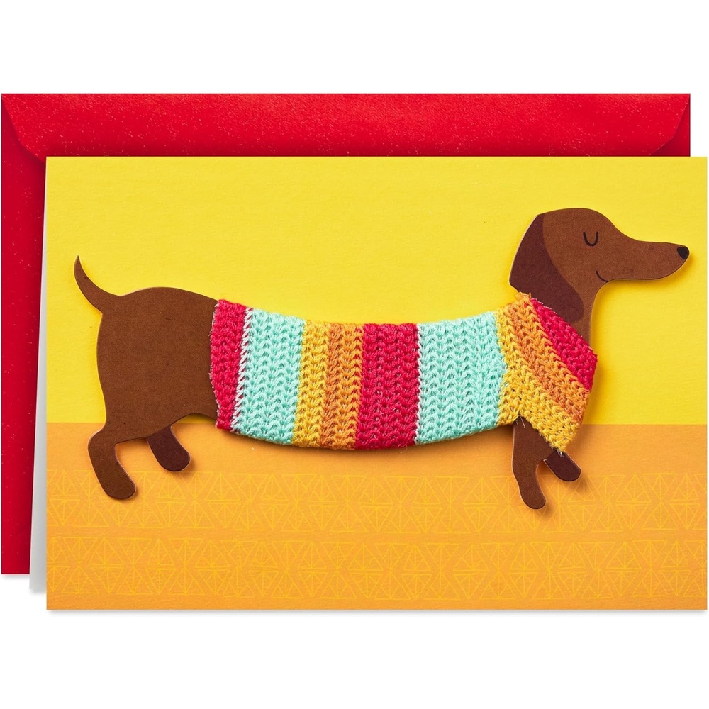 image:imageHallmark Signature Birthday Card Dachshund in Sweater Happy All Day Long for Dog Mom Dog DadDog in Sweater