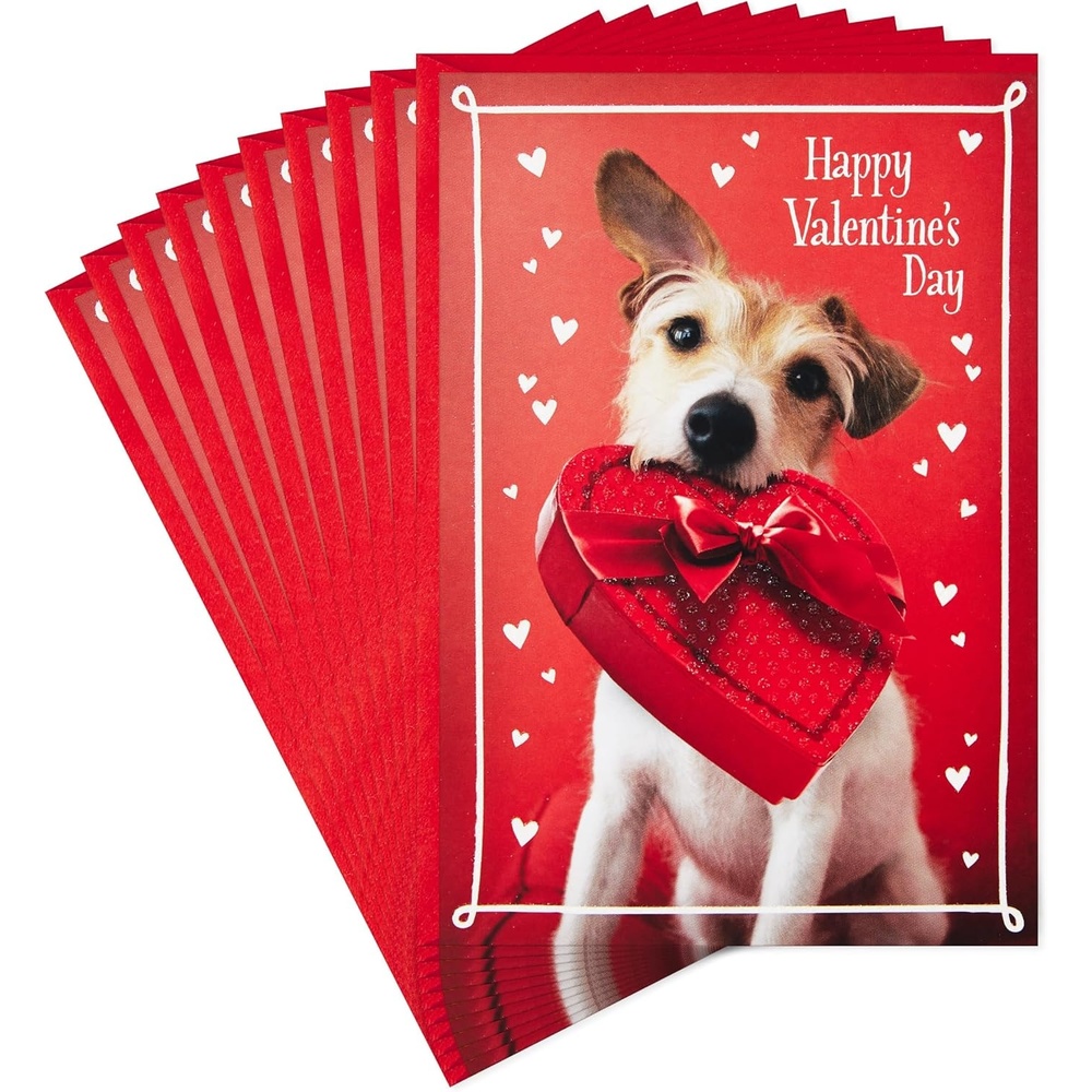 image:imageHallmark Valentines Day Cards for Kids School Be Happy 8 Classroom Valentines with EnvelopesDog with Chocolates