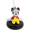 Minnie on Snow Tube