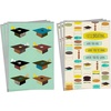 Graduation Caps  6 Cards with Envelopes