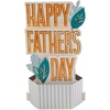 Happy Father's Day