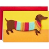 Dog in Sweater