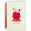 Snoopy and Woodstock