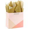 Coral  Blush Pink  Gold Stripes