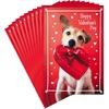 Dog with Chocolates