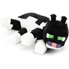 Black - Tuxedo Cat