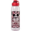 Disney 100 Mickey Hydration Tracker