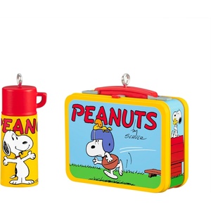 Hallmark Keepsake Peanuts Christmas Ornament, The Peanuts Gang Playing Catch, Set of 2(Lunchbox Set)