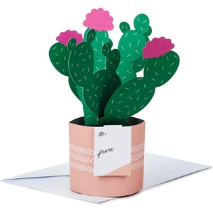 Hallmark Paper Wonder Pop Up Card (3D Potted Cactus) Blank, Thinking of You, Get Well, Encouragement, Birthday, All Occasion(Pop Up  Potted Cactus)