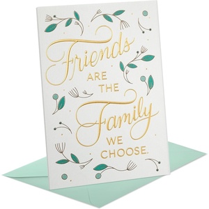 Hallmark Paper Wonder Pop Up Card (3D Potted Cactus) Blank, Thinking of You, Get Well, Encouragement, Birthday, All Occasion(The Family We Choose)