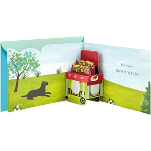 Hallmark Paper Wonder Pop Up Fathers Day Card (Barbecue) (599FFW2027)