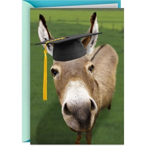 Hallmark Shoebox Funny Graduation Card (Smart Donkey)(Smart A** Donkey)