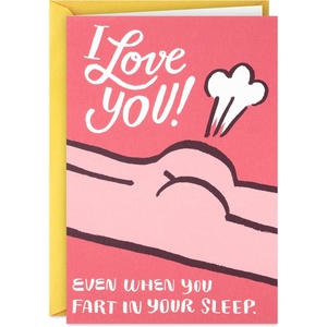 Hallmark Shoebox Funny Love Card for Significant Other (Fart in Your Sleep) for Anniversary, Romantic Birthday, Sweetest Day(Fart in Your Sleep)