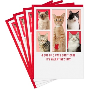 Hallmark Shoebox Pack of 4 Funny Valentines Day Cards (Cats Don’t Care)(Cats Don’t Care  Funny)