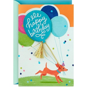 Hallmark Signature Birthday Card (Best Birthday Ever)(Orange)