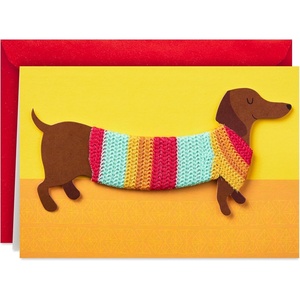 Hallmark Signature Birthday Card, Dachshund in Sweater (Happy All Day Long!) for Dog Mom, Dog Dad(Dog in Sweater)