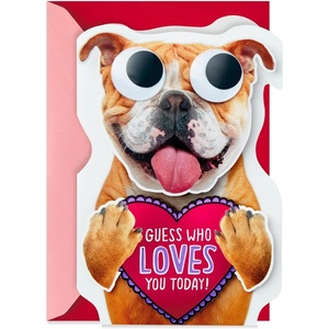 Hallmark Valentines Day Card (Love, Laughter, Happiness)(Dog with Googly Eyes  Valentine’s Card)
