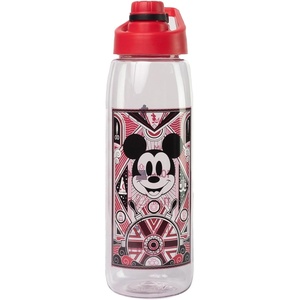 Silver Buffalo Rainbow Brite “Sparkle” Water Bottle with Screw Lid Featuring Rainbow Brite and Twink, 28 Ounces(Disney 100 Mickey Hydration Tracker)