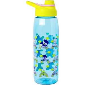 Silver Buffalo Rainbow Brite “Sparkle” Water Bottle with Screw Lid Featuring Rainbow Brite and Twink, 28 Ounces(Hello Kitty and Friends Rainbow)