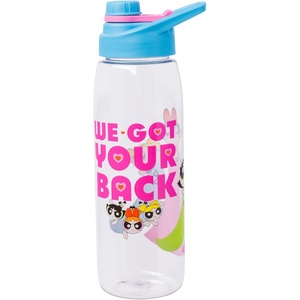 Silver Buffalo Rainbow Brite “Sparkle” Water Bottle with Screw Lid Featuring Rainbow Brite and Twink, 28 Ounces(Powerpuff Girls)