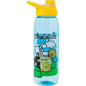 Silver Buffalo Rainbow Brite “Sparkle” Water Bottle with Screw Lid Featuring Rainbow Brite and Twink, 28 Ounces(Sanrio Chococat)