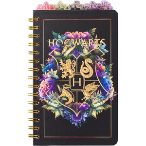 Silver Buffalo Rainbow Brite Spiral Tabbed Notebook Featuring Twink, Starlite, Rainbow Brite, Puppy Brite, and Shy Violet, 8″ x 5″(Harry Potter)