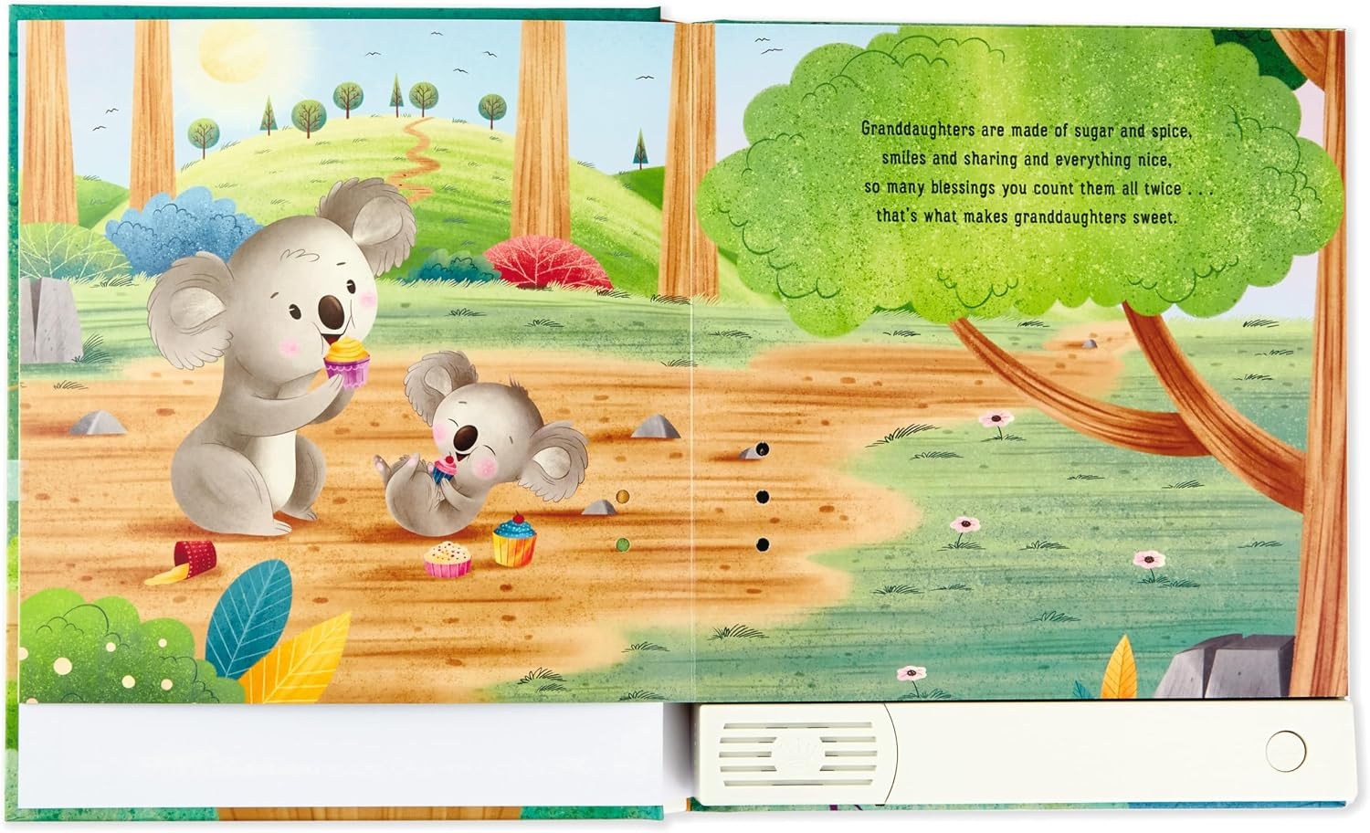 image:imageHallmark Recordable Book for Children What are Granddaughters Made ofWhat Are Granddaughters Made Of