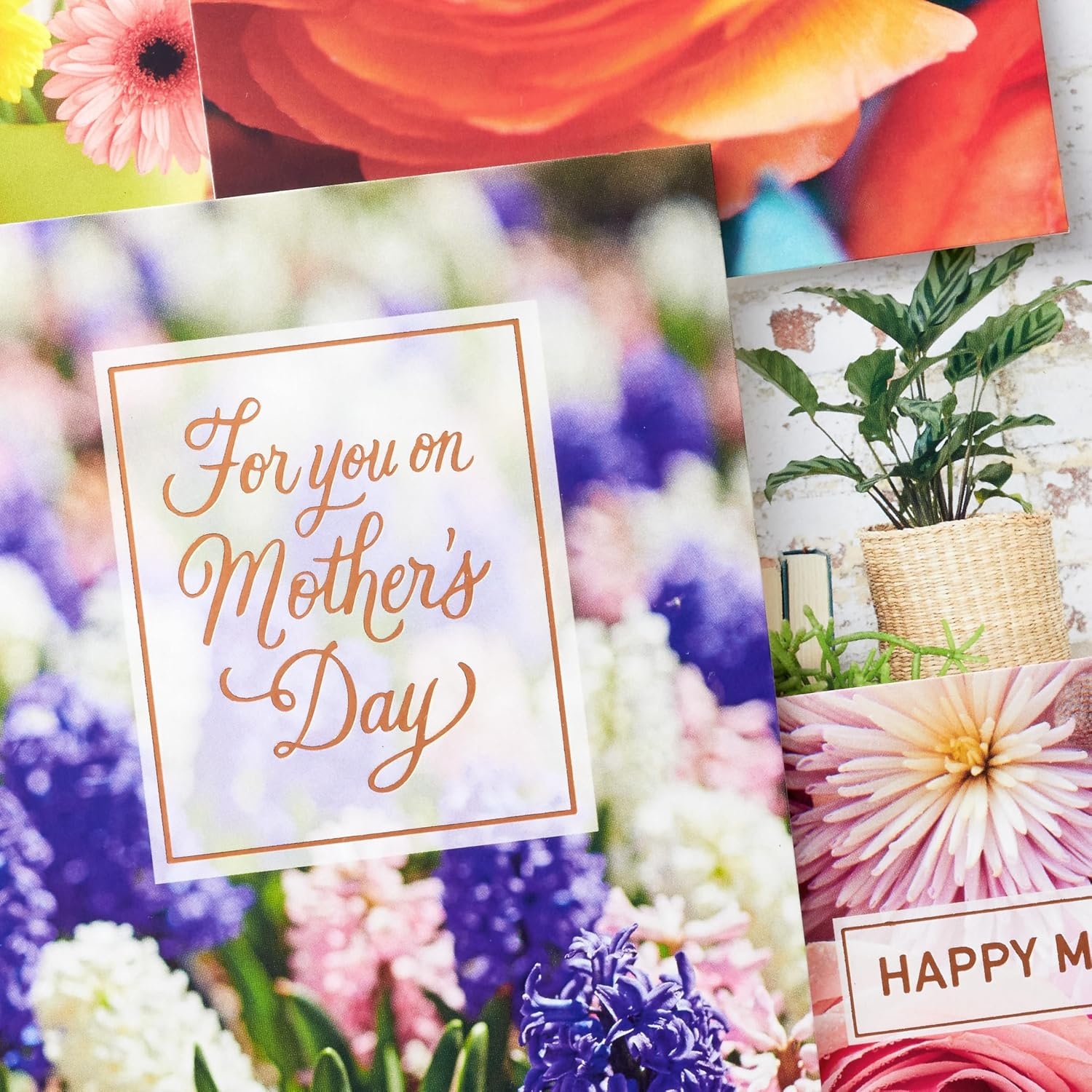 image:imageHallmark Valentines Day Cards Assortment Bold Type 24 Cards and EnvelopesMothers Day Photography Card Assortment