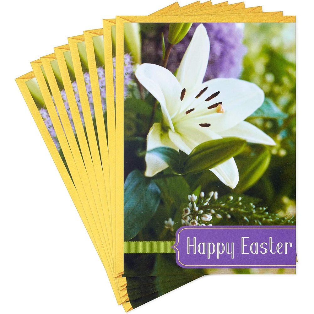 image:imageDaySpring Pack of Religious Easter Cards Alleluia 8 Cards with EnvelopesLily  Blessed Day  8 Cards with Envelopes