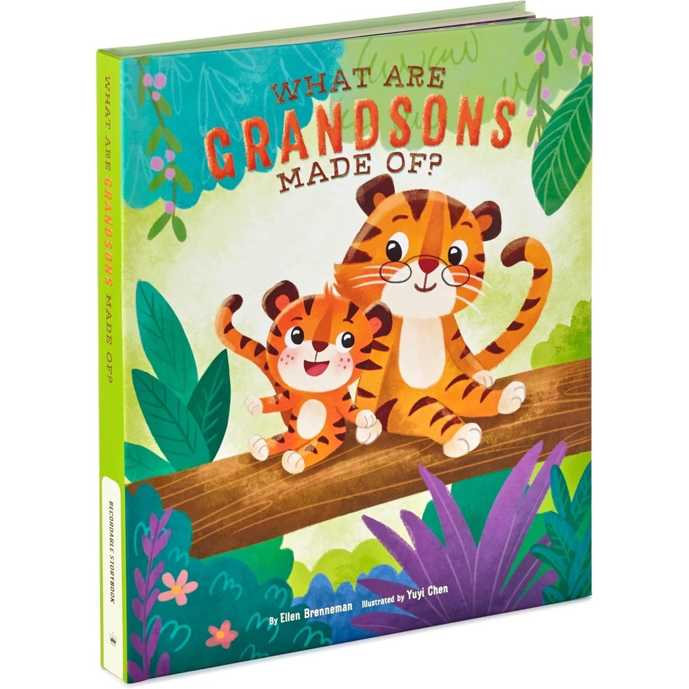 image:imageHallmark Recordable Book for Children What are Grandsons Made of Easter Basket StuffersWhat Are Grandsons Made Of