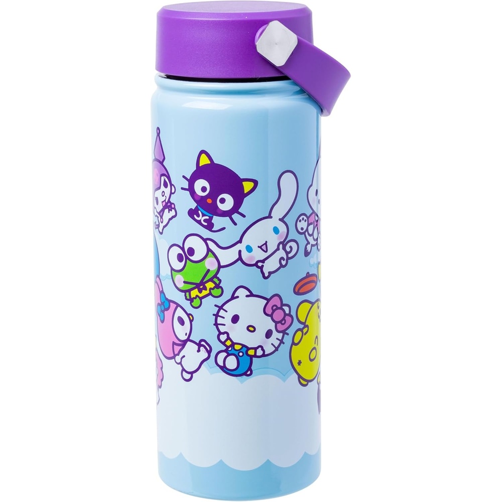 image:imageSilver Buffalo Rainbow Brite Stainless Steel Water Bottle with Swivel Handle 20 OuncesHello Kitty and Friends