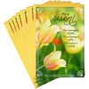 He is Risen  10 Cards with Envelopes
