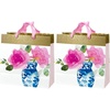 1 Count (Pack of 2)