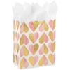 Large (Pack of 1)
