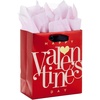 1 Count (Pack of 1)