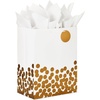 X-Large (Pack of 1)