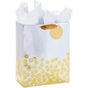 Large (Pack of 1)